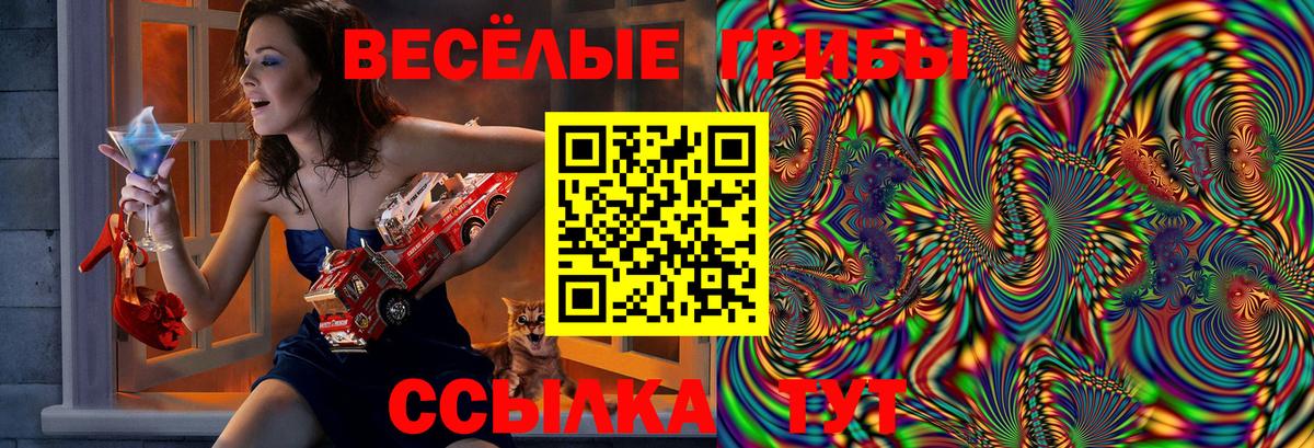 Нерюнгри  Галлюциногенные грибы ЛСД  Вход с VPN  Галлюциногенные грибы Psilocybe 